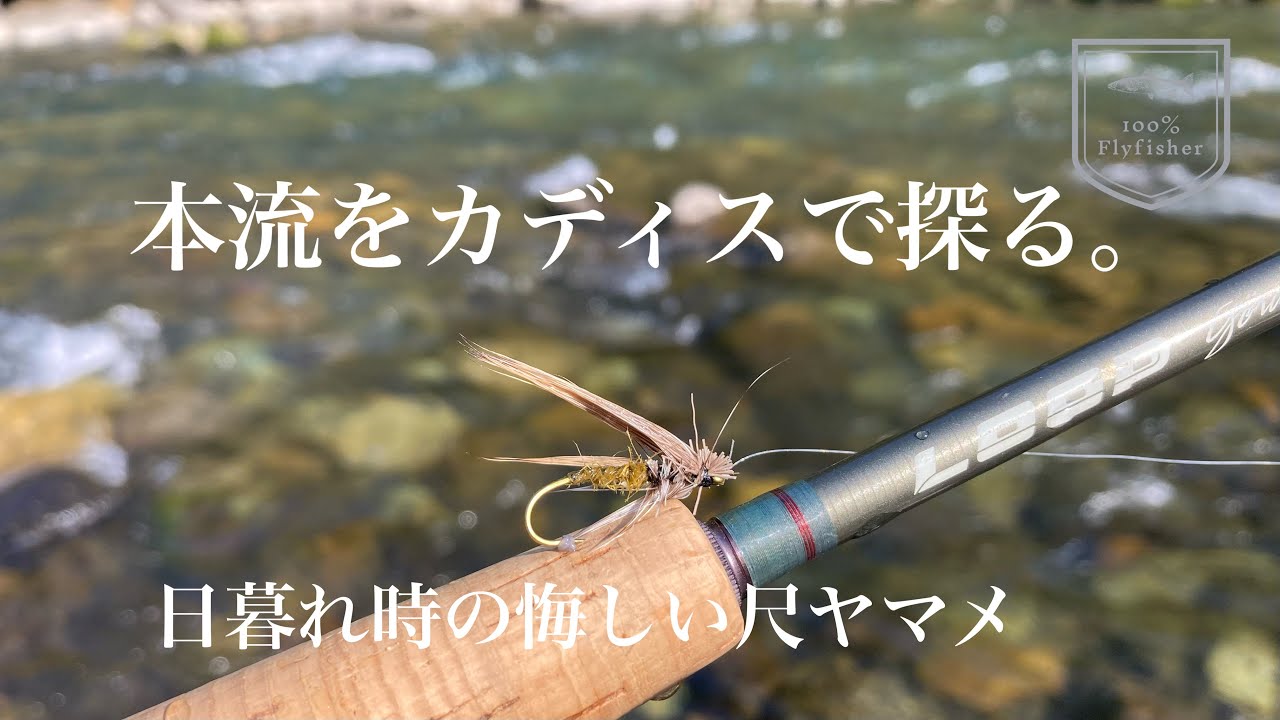 日中の本流をカディスで探る。夕暮れ時の悔しい尺ヤマメ。【フライフィッシング】