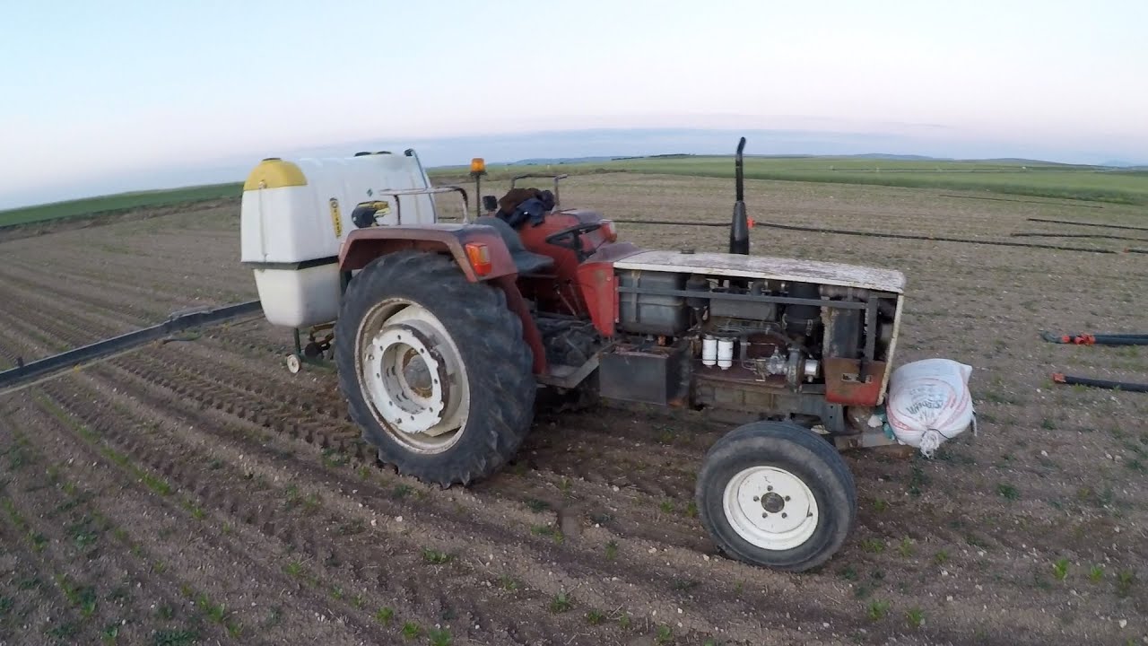 Şeker pancarı ot ilacı uygulaması. Steyr 768