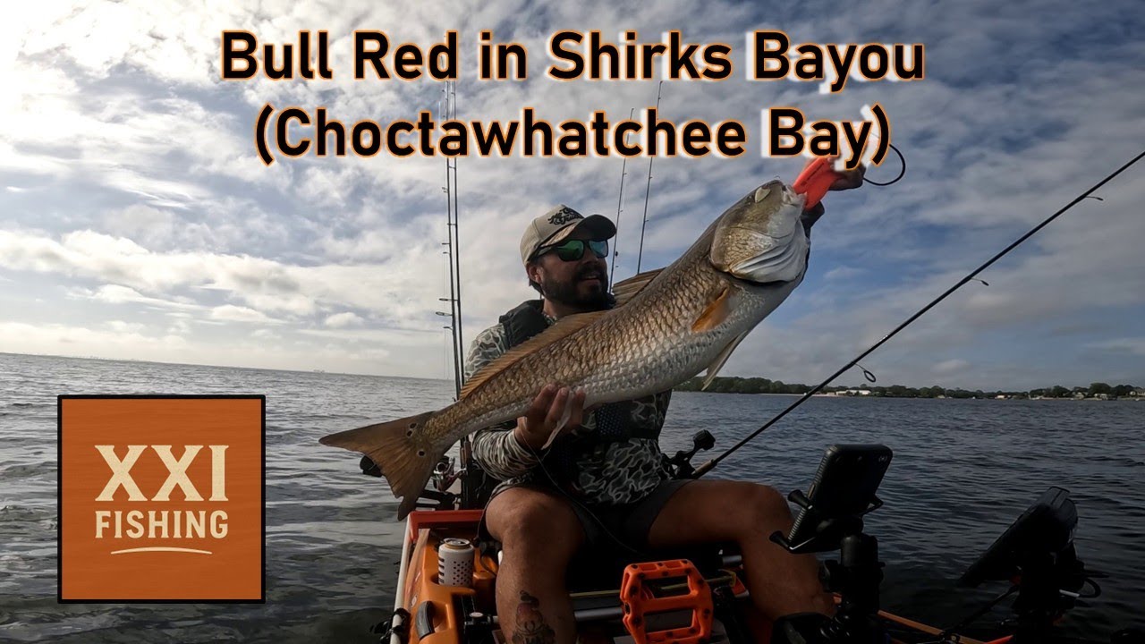 PB Red Fish in Shirks Bayou (Choctawhatchee Bay)