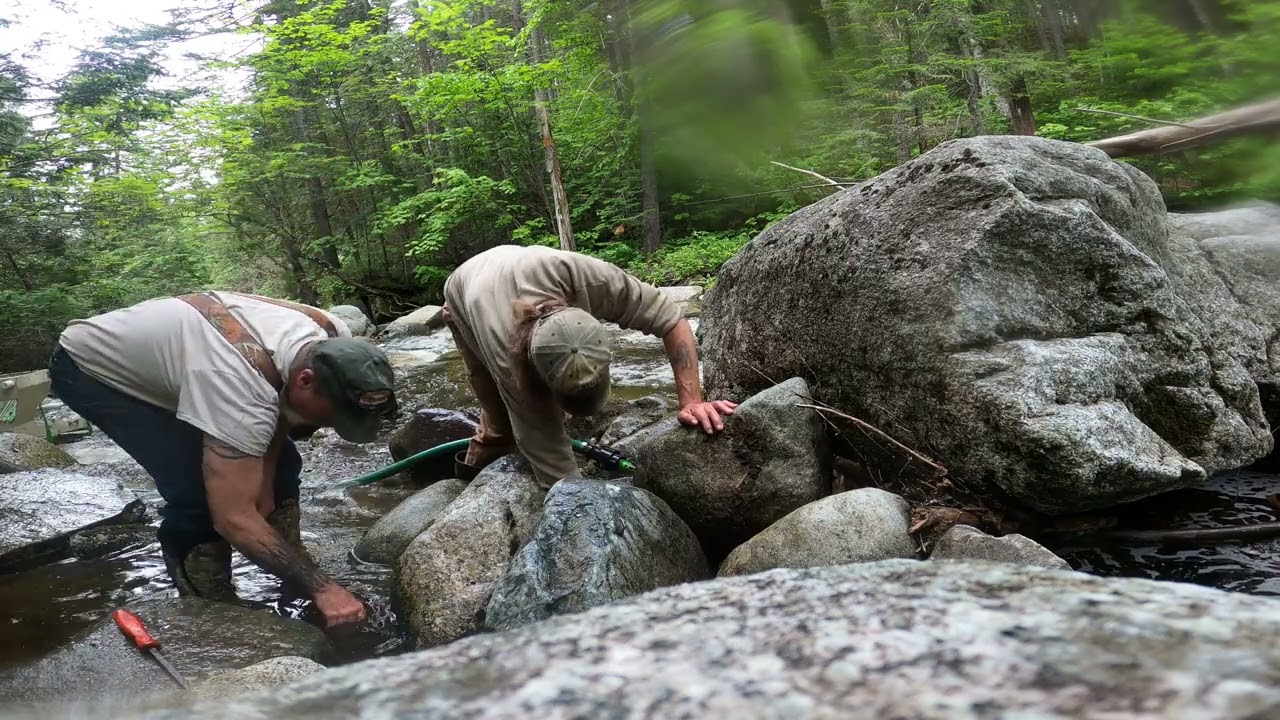 GOLD IN THE PAN! GOLD BROOK MAINE
