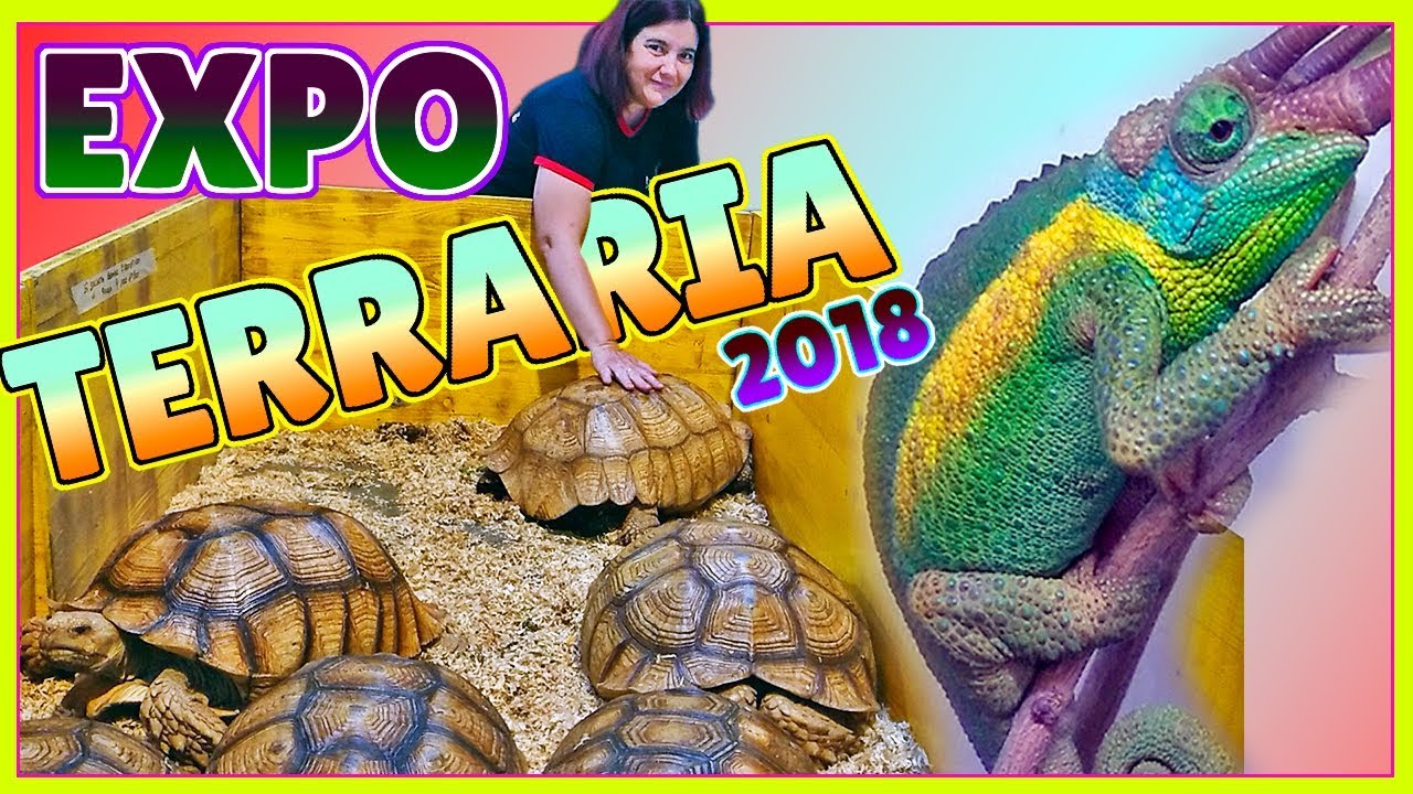 EXPOTERRARIA 2018 Barcelona