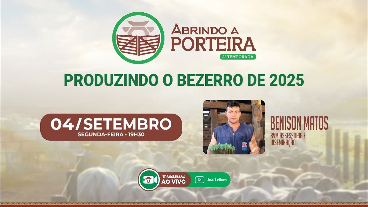 PRODUZINDO O BEZERRO DE 2025 - ABRINDO A PORTEIRA COM A UNA&Iacute; LEIL&Otilde;ES #104 - 04/09/2023