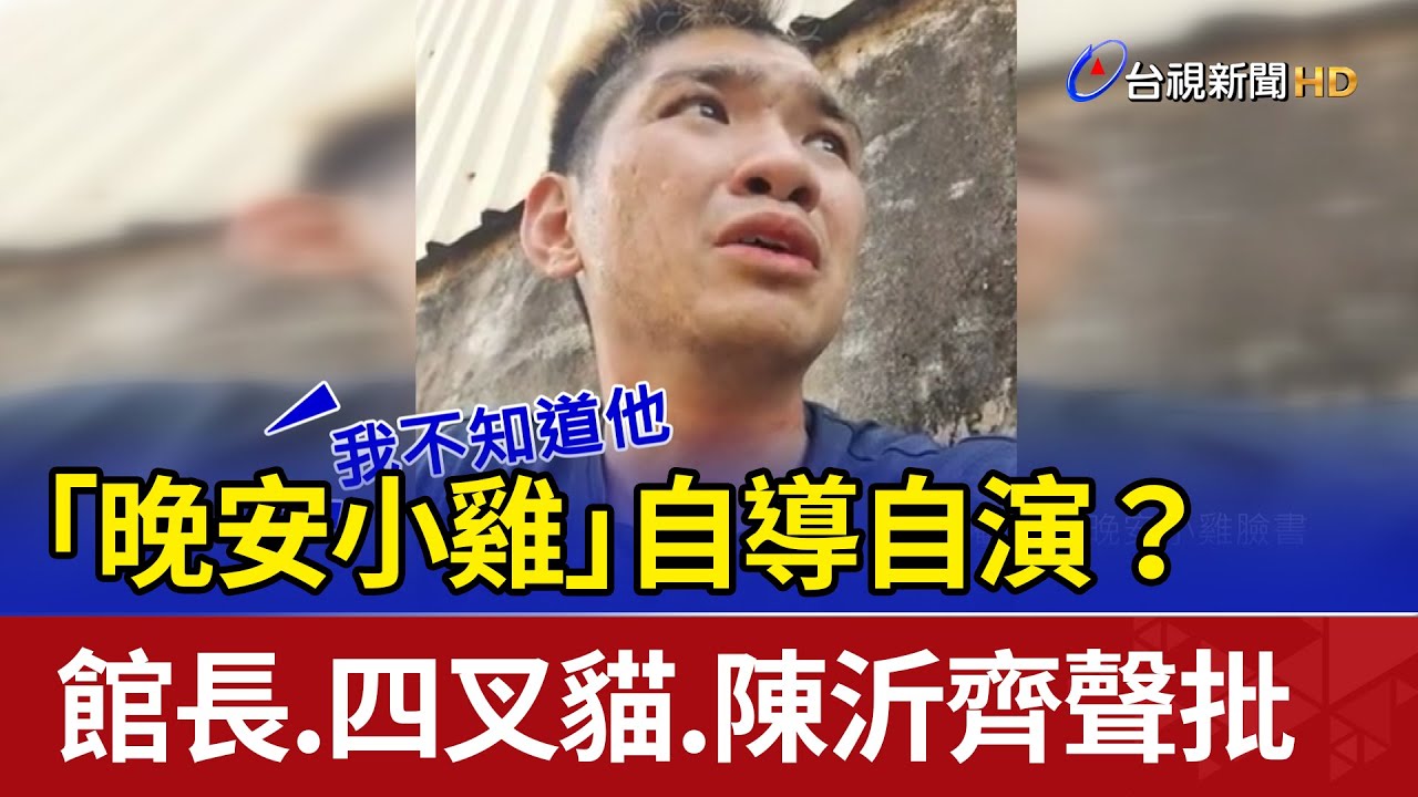 「晚安小雞」自導自演？ 館長.四叉貓.陳沂齊聲批
