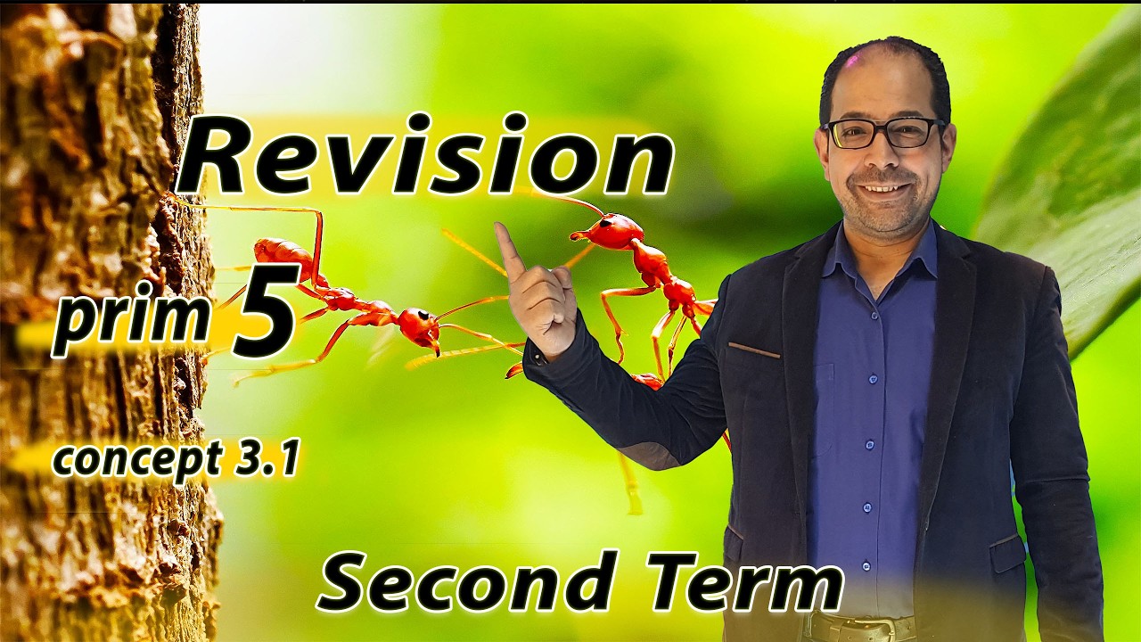prim 5 revision concept 3.1