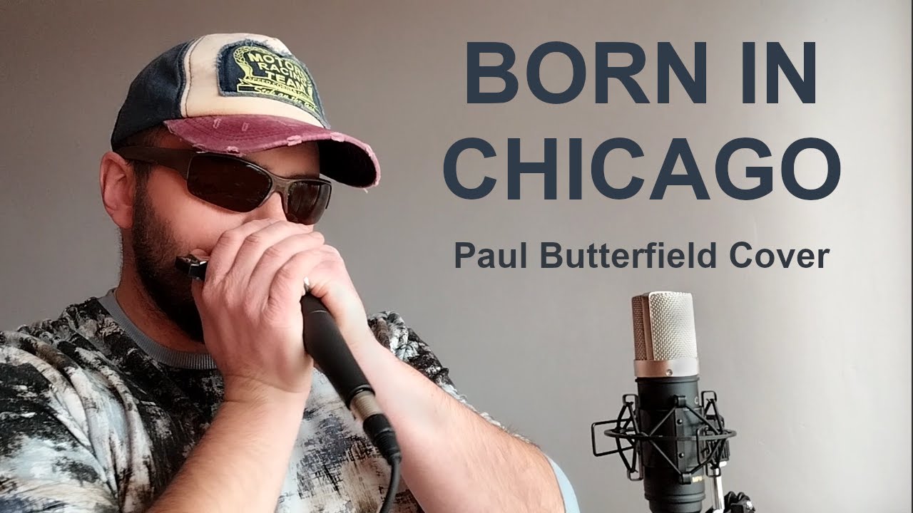 Born In Chicago | Paul Butterfield Band (Cover)