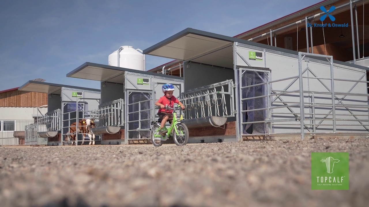 Mobile Kälbergruppenhütte mit Auslauf - Kälberstall