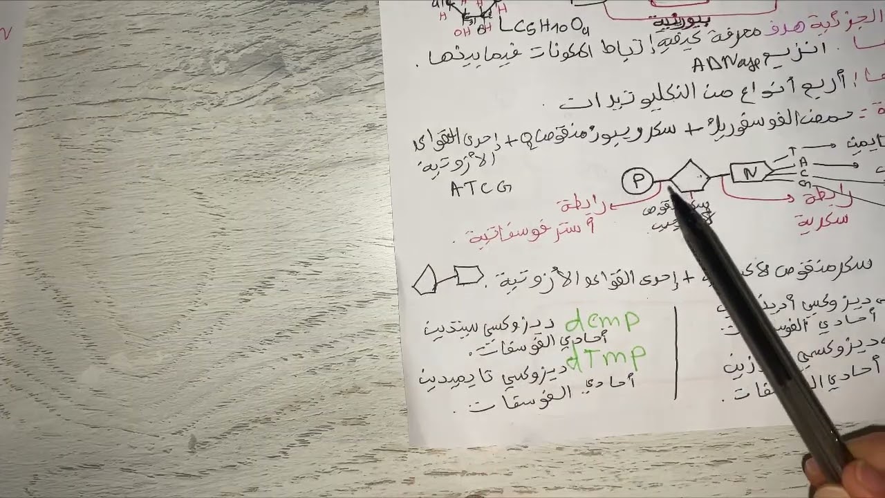 ملخص ADN الثانية ثانوي جزء 2#2as #ثانية_ثانوى #ثانية_ثانوى #مراجعة 