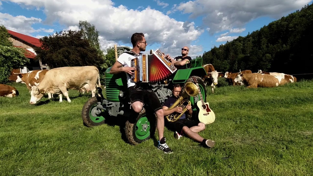 The Minions trio - Zillertaler Hochzeitsmarsch [Steyr version]