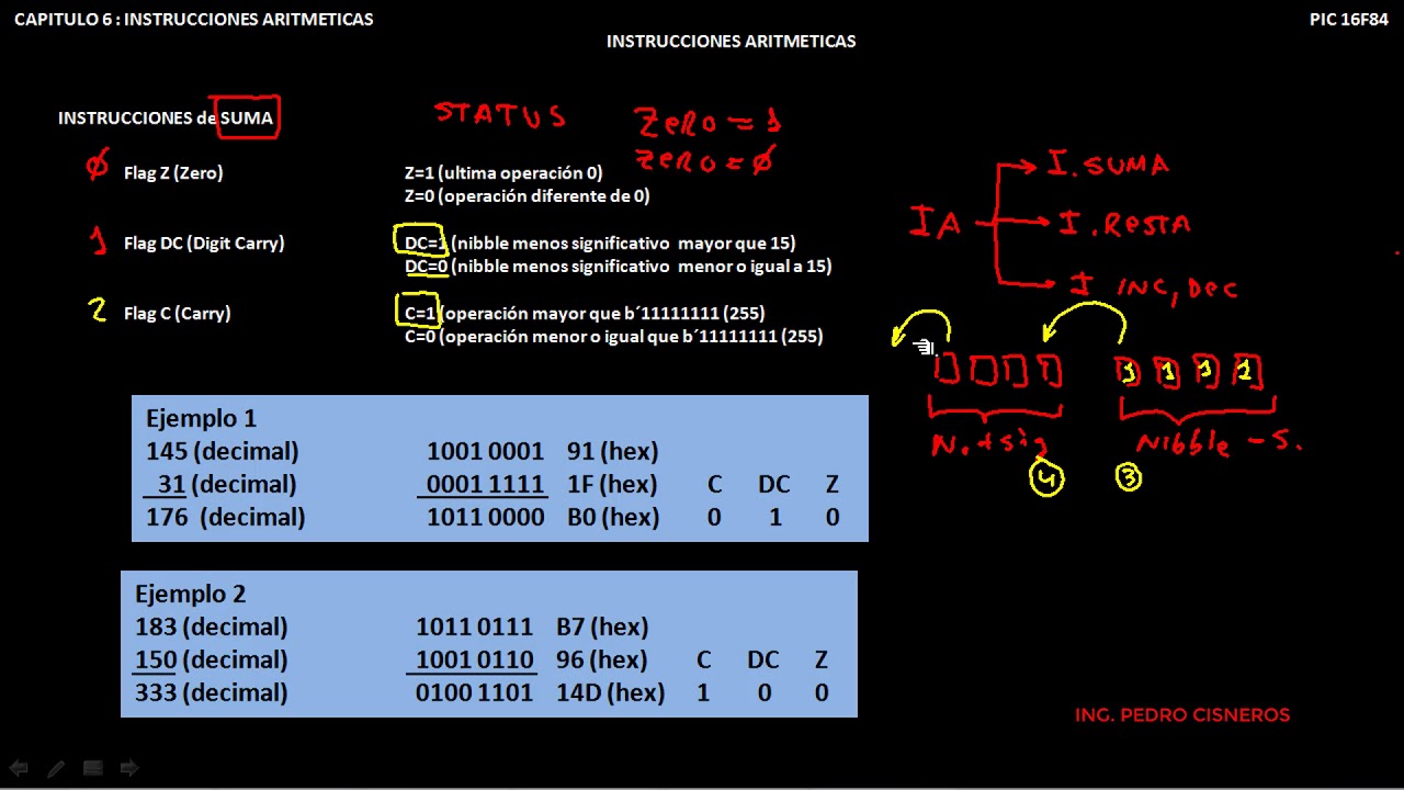 CURSO PIC16F84A LOS FLAGS EN LA SUMA CAPT 6 PARTE 1