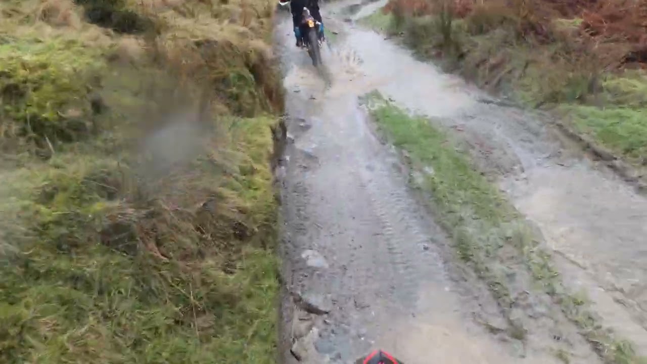 Llangollen lanes 31/01/26