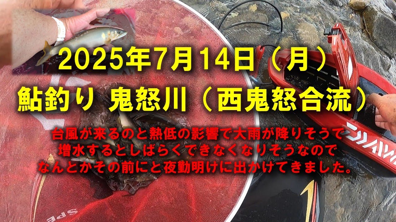 【2025鮎釣り】7月14日 2025鮎 鬼怒川釣行（西鬼怒川合流）