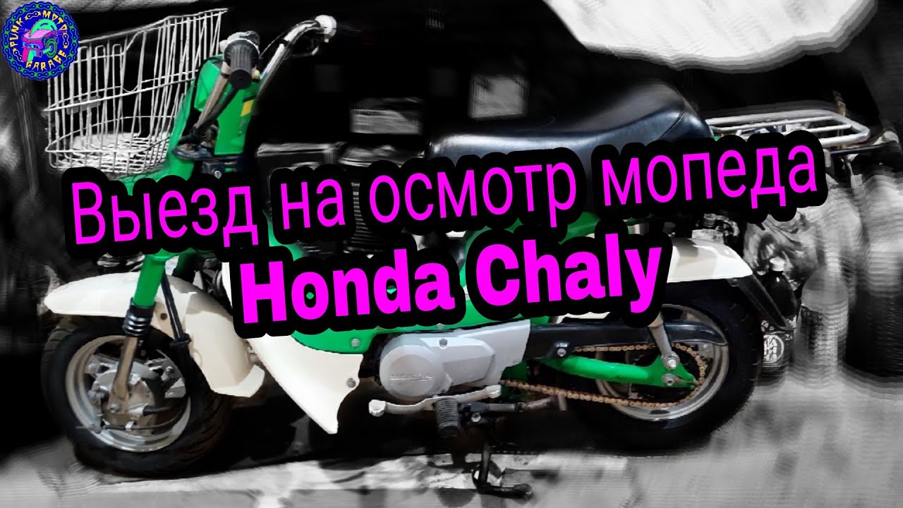 Выездной осмотр, перед покупкой РЕДКОГО МОПЕДА Honda Chaly