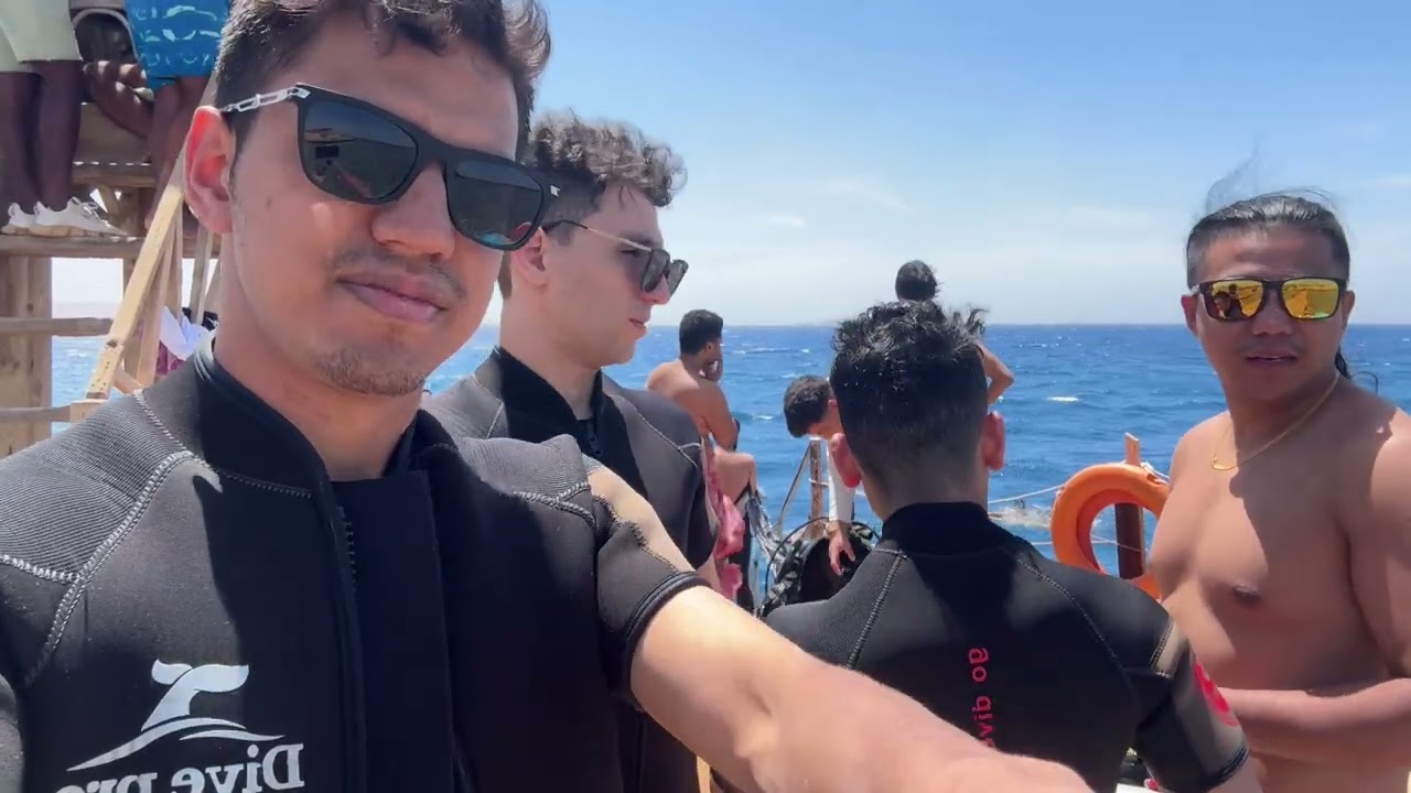 You Won’t Believe What I Saw Underwater in Sharm El-Sheikh