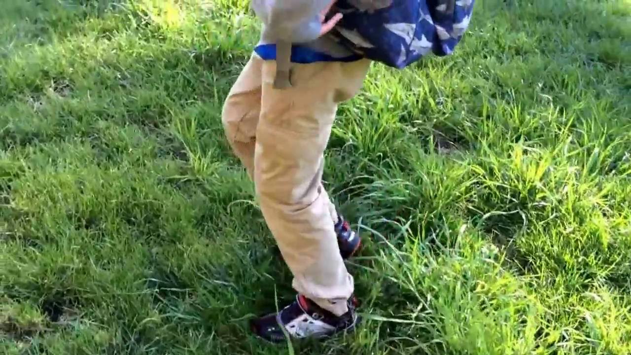 Fox walking during an Outdoor Kids OT group. Great for body awareness, motor planning, and balance.