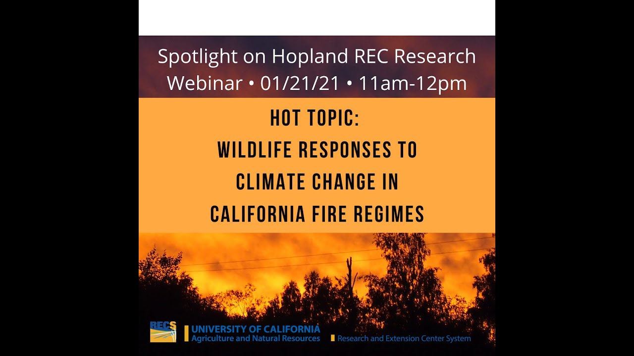 Spotlight on Research - Hot Topic: Wildlife Responses to Climate Change in California Fire Regimes