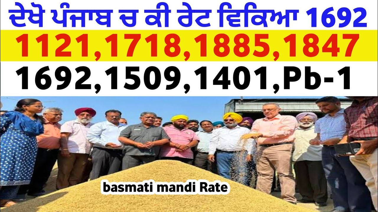 Basmati rate 1121 1718 1885 1847 1509 1692 1401 Pb-1 taaja Mandi bhav today tmb info basmati paddy