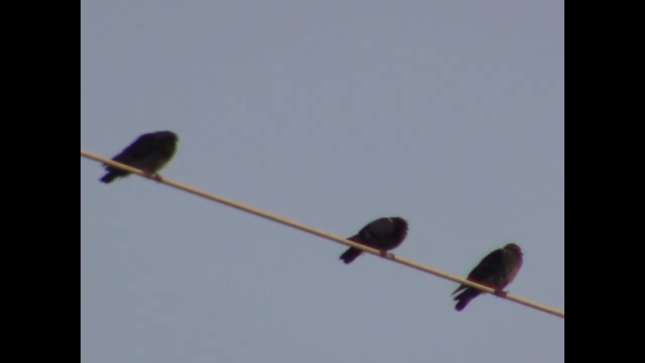 2024 01 14 Clance | JEC