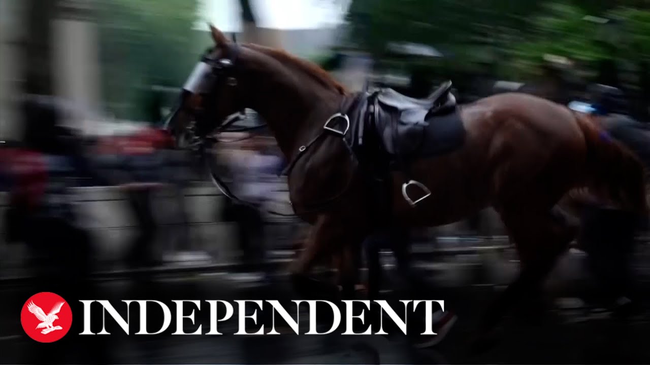 Police horse bolts at Black Lives Matter protesters in London