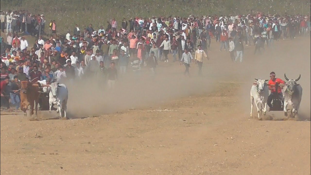चंदू भैया jcb ताखला vs सोहेब पटेल नांदी रणवीर राणा पहला इनाम स्कूटी पट प्रतियोगिता गंगेरूआ