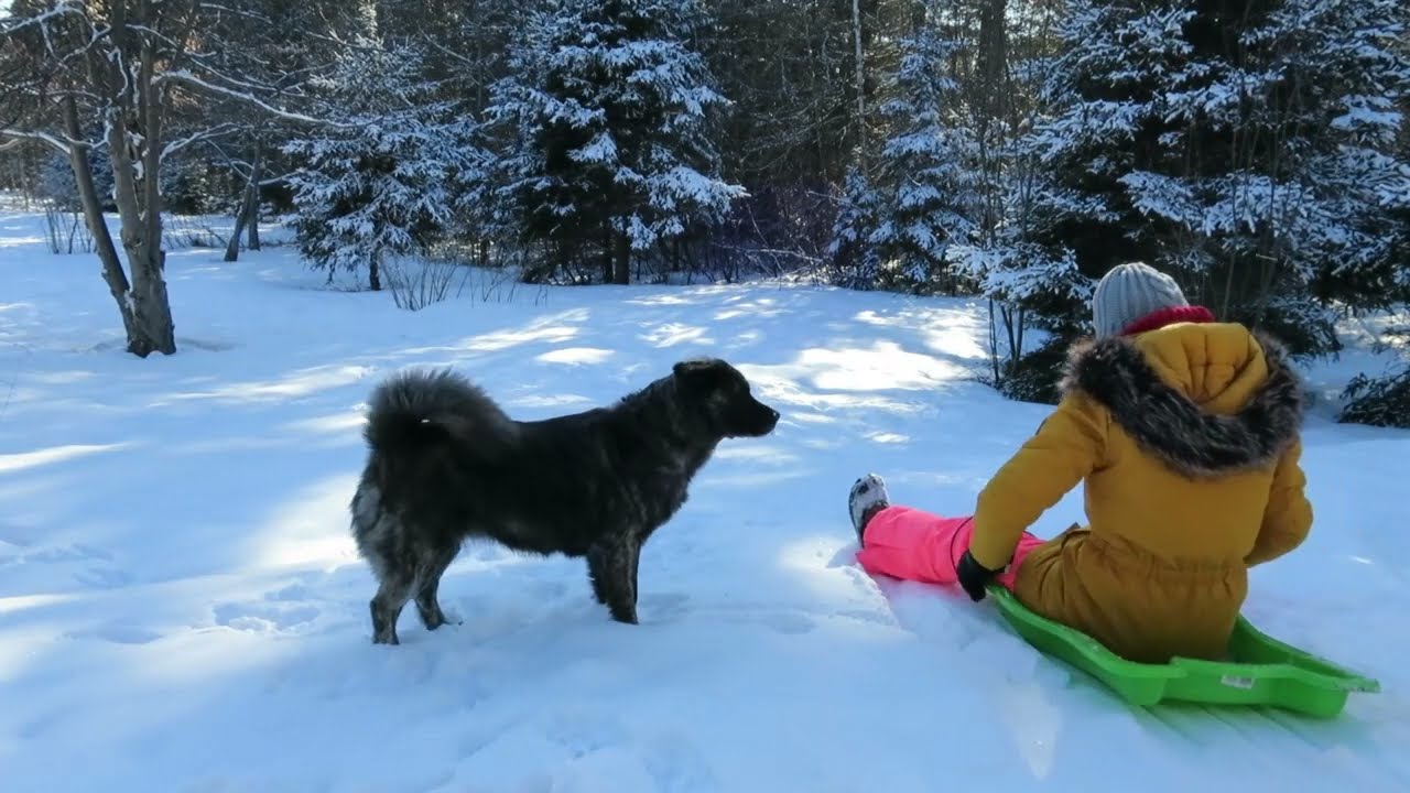 HOW TO TOBOGGAN ON THE SNOW/ FOR BEGINNERS/ PRINCE EDWARD ISLAND/ TOBOGGANING