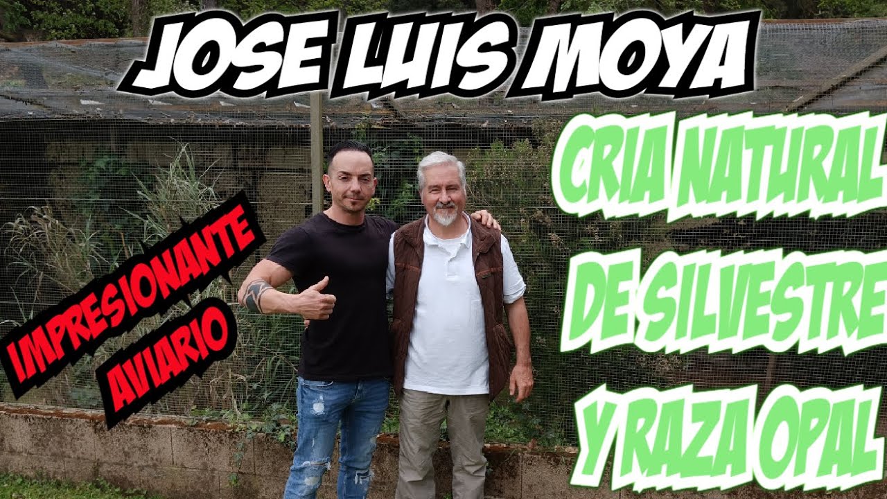 EL MEJOR AVIARIO NATURAL JOSE LUIS MOYA