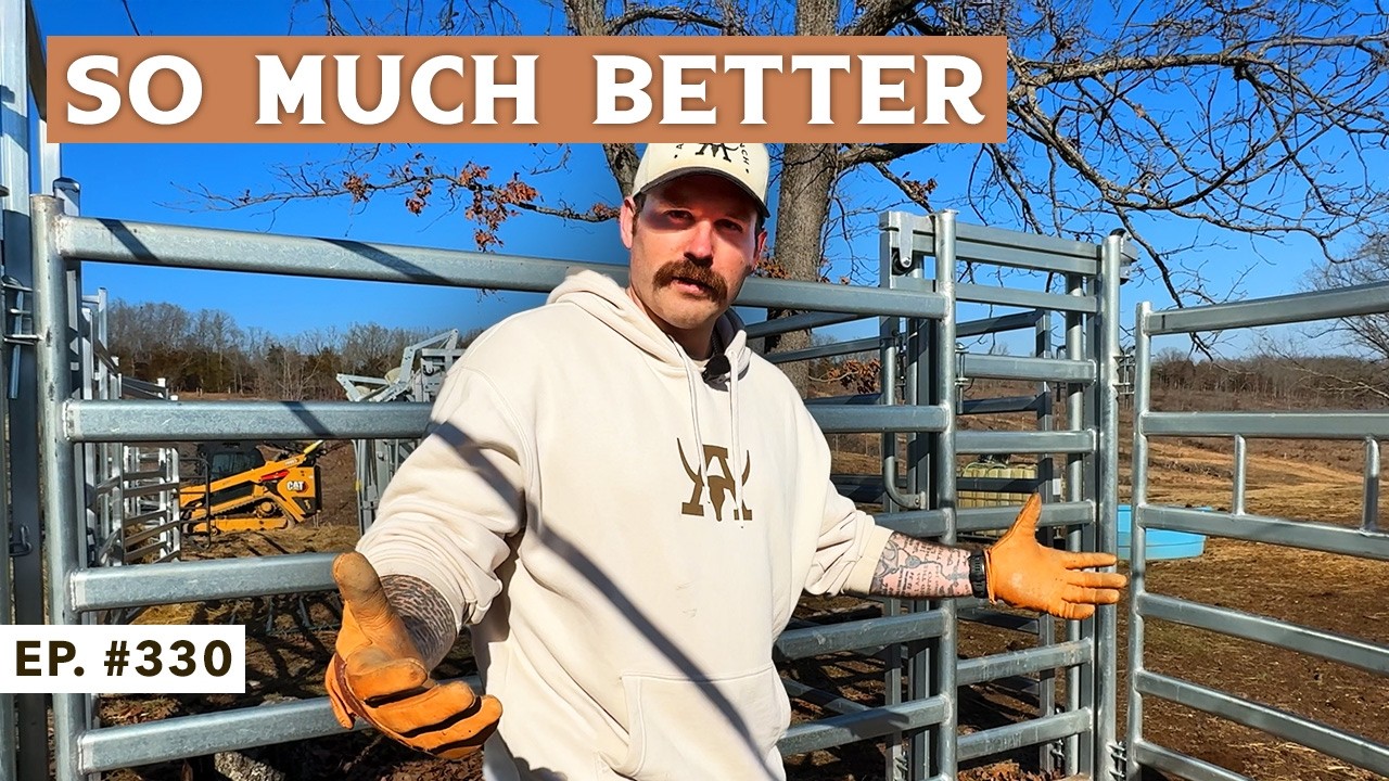 We Completely Redesigned Our Cattle Corral
