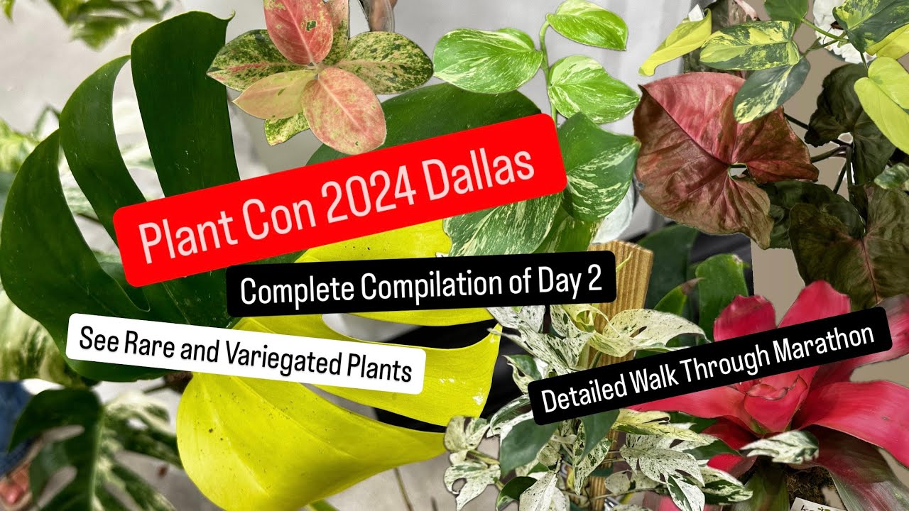 Plant Con 2024 Dallas Complete Marathon Compilation of Plant Shopping for Rare and Variegated Plants
