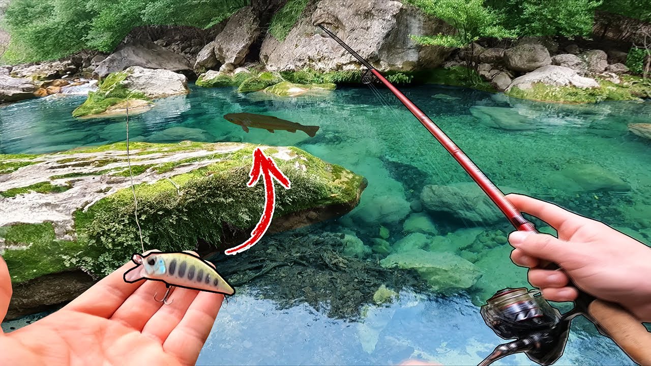 D&eacute;couverte d'une rivi&egrave;re &agrave; truite perdue et pleine de surprises !