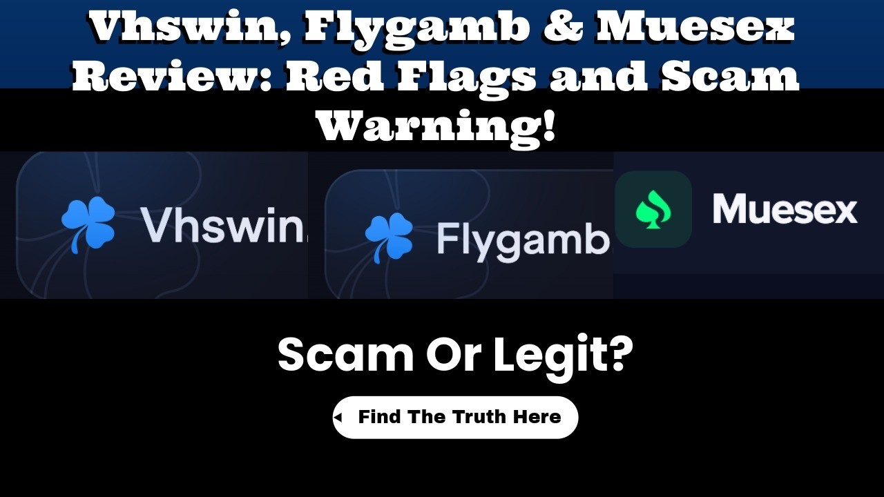 Обзор Vswin, Fly Game и Muzex: реальные платформы или мошенничество?