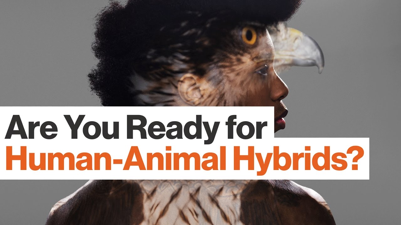 The Ethics of Crossing Humans with Animals | Glenn Cohen | Big Think