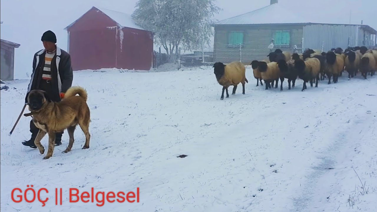 KADIRGA YAYLASI || GÖÇ