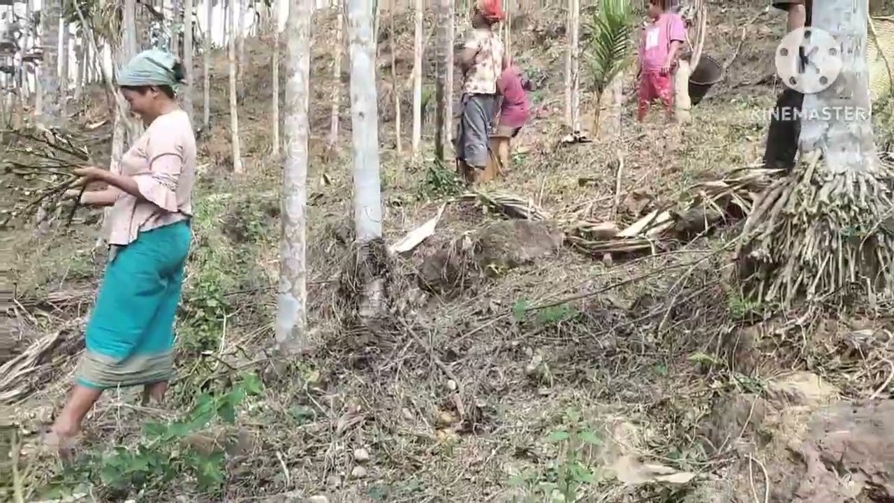 Mongdoli gueko skenga