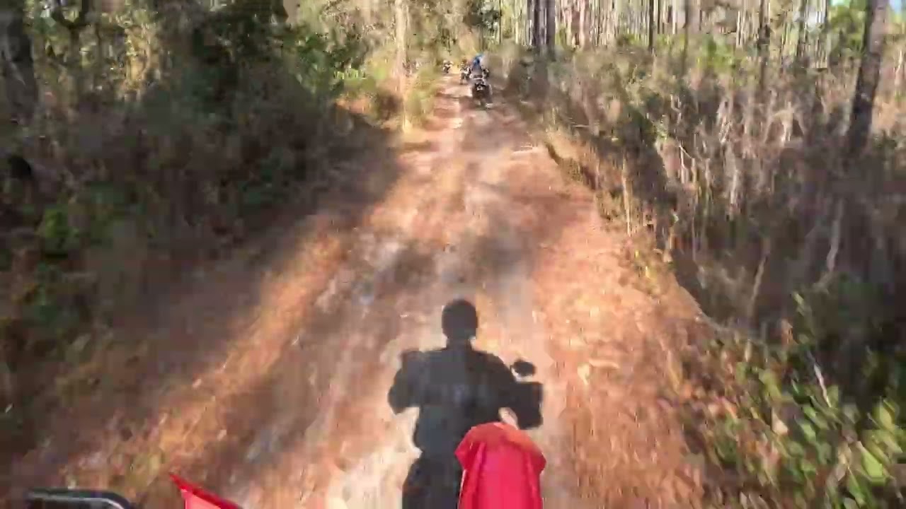 2-21-2026 Ocala Jack mid day