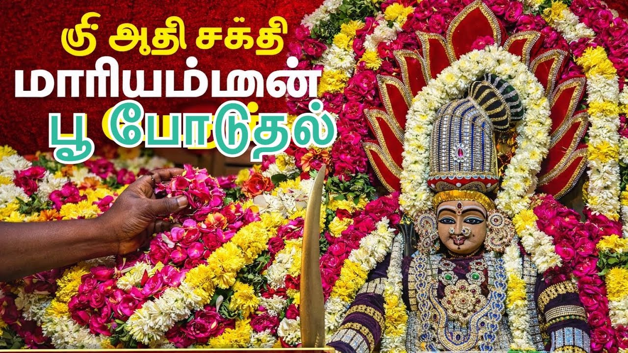 ஆதி சக்தி மாரியம்மன் தோட்டக்காடு பூ போடும் நிகழ்வு part-2