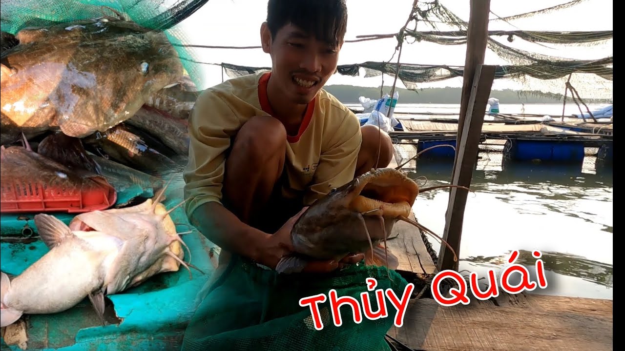 Giăng Câu Cá Ngát thu phục con Thủy Quái ngày cuối năm | GĐCG #1036
