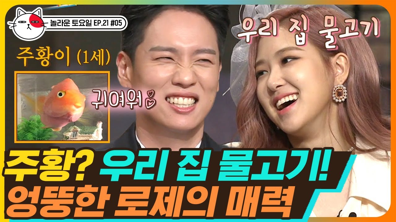 [티비냥] EP21-05 블핑 로제(ROSÉ) 특징: 매우 많이 귀여움🧡 '주황아 잘 있어?🐟' 갑자기 쓰는 영상편지 | #놀라운토요일 180825
