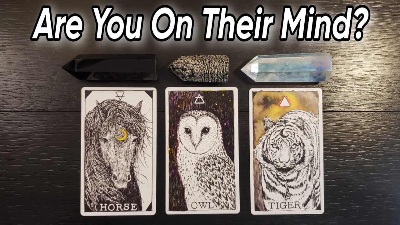 🤔❤ Are You On Their Mind? Pick A Card Love Reading 💕❤ What Are Their Thoughts Of You?