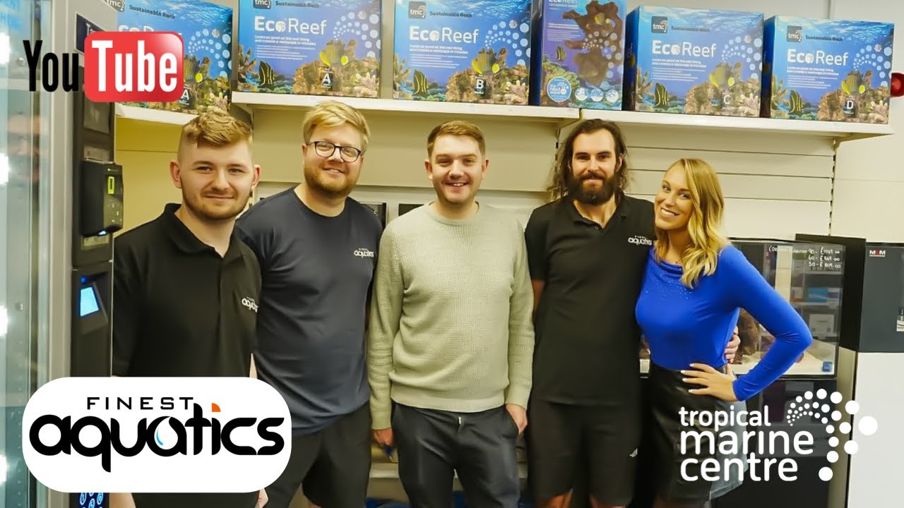 Out of the Offish with Colette - Episode 19 Finest Aquatics fish shop tour