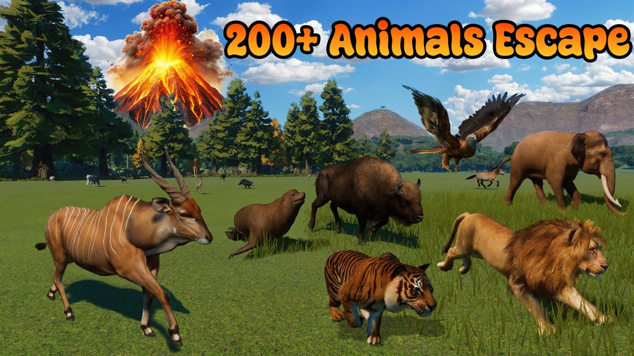 200+ Animals Escape From The Volcanic Eruption Animal Race in Planet Zoo included Elephant, Giraffe