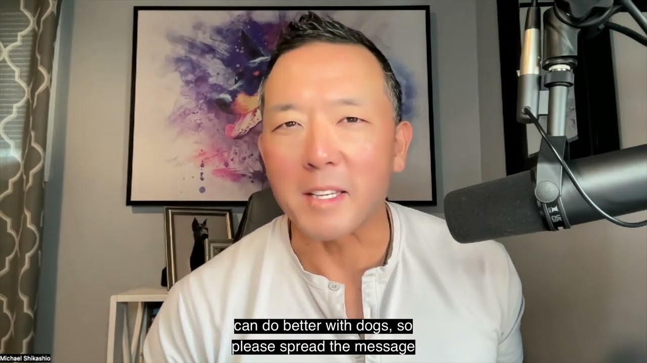 What can you do instead of stringing up, hanging, or helicoptering a dog?