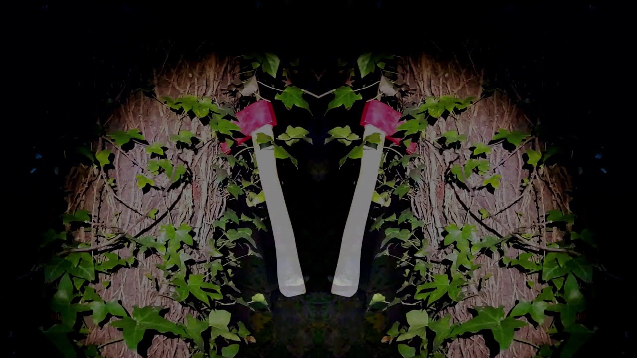 Forest (Fear)