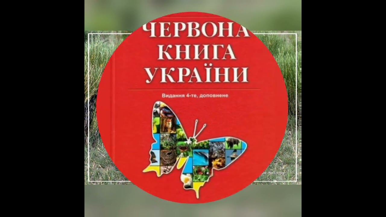Світ птахів заповідника Асканія-Нова
