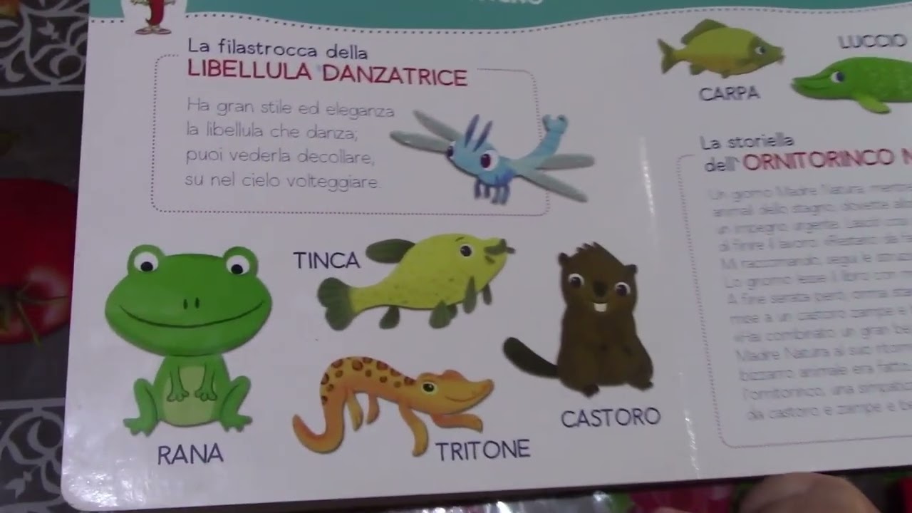 Gli Animali