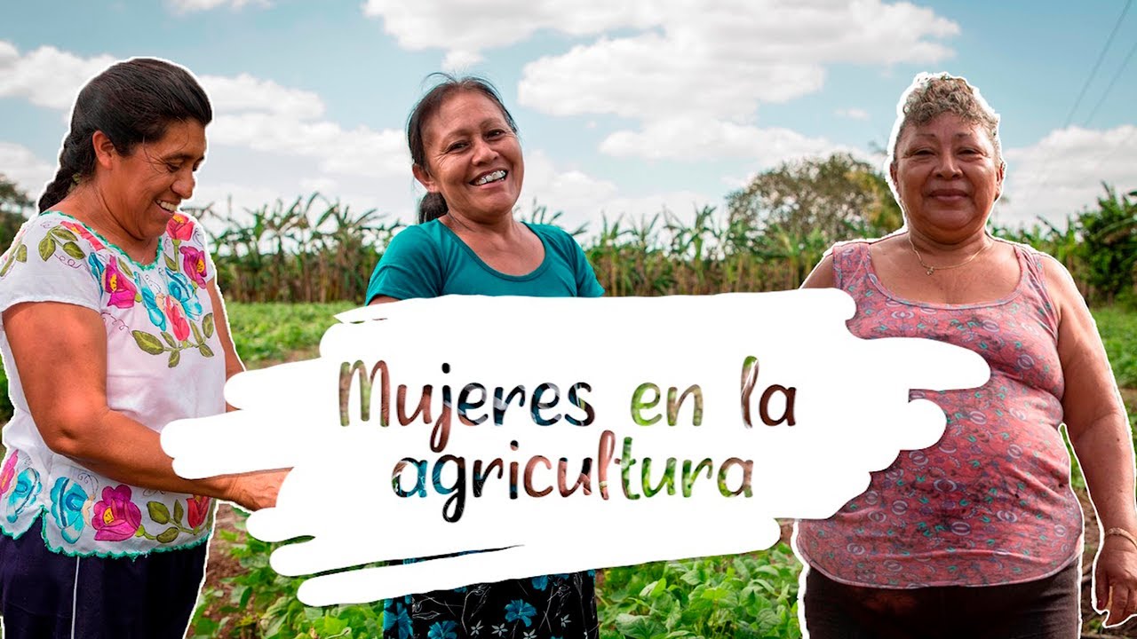 Minidocumental: Mujeres en la agricultura | Yucatán, México