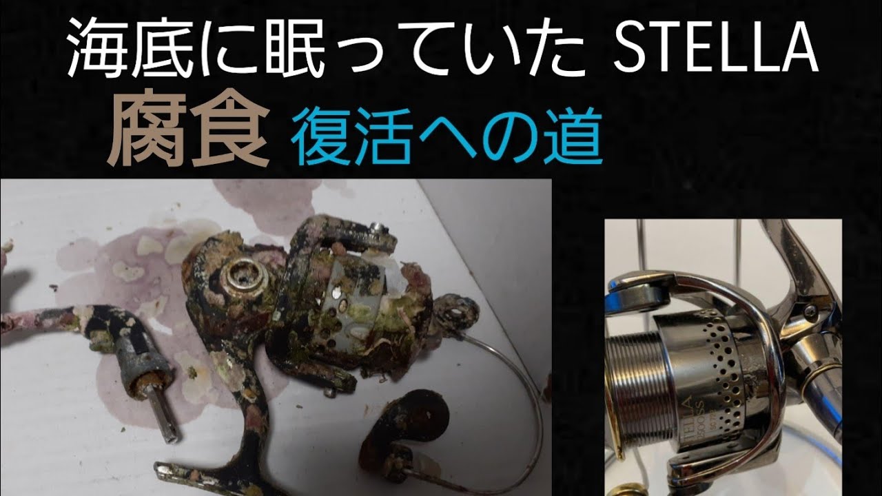 数年間 海の底に沈んでいたリール(シマノ STELLA  分解)を復活させる プロジェクト！ ミレニアムステラ