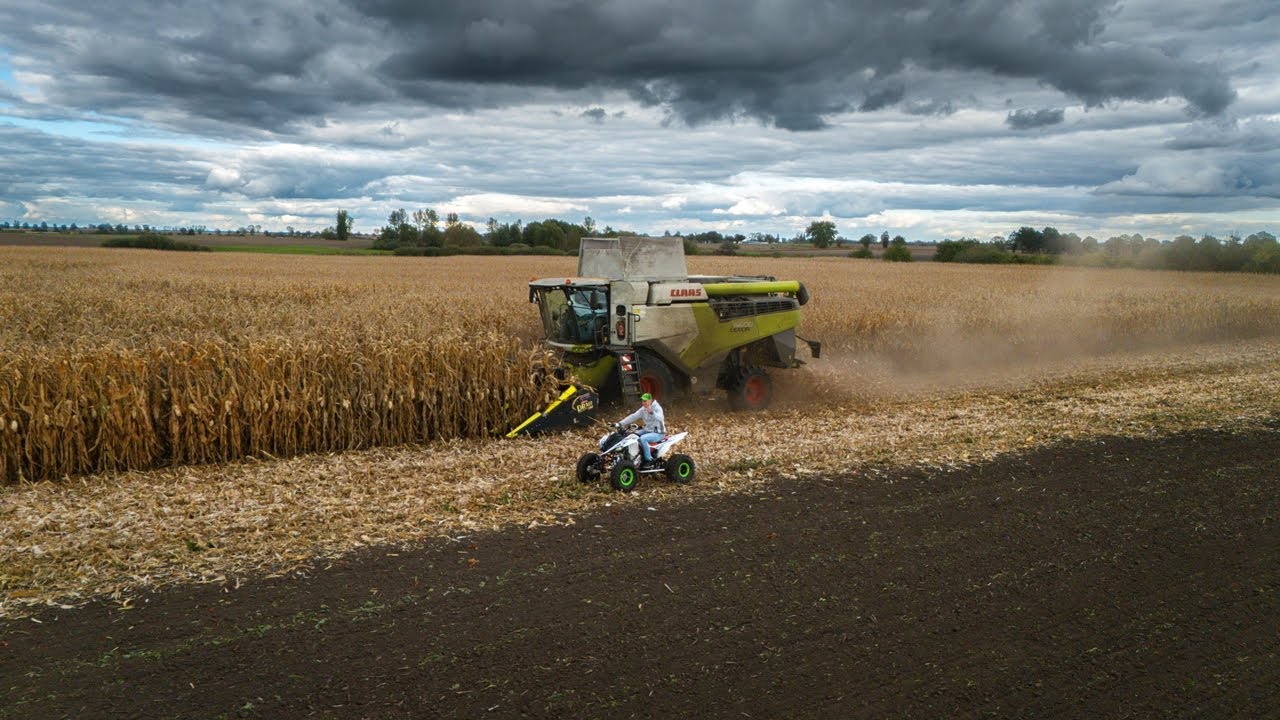 Kukurydza 2024 🌽CLAAS LEXION 6600 & CLAAS TRION 640 &JOHN DEERE 6090RC &JOHN DEERE 6330 & METAL-TECH