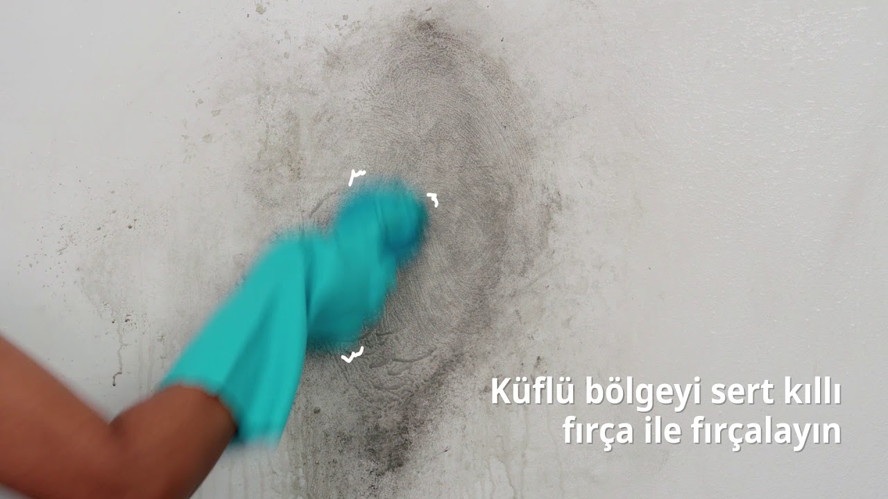 Duvardan k&uuml;f ve rutubet lekesi nasıl temizlenir? | Cleanipedia