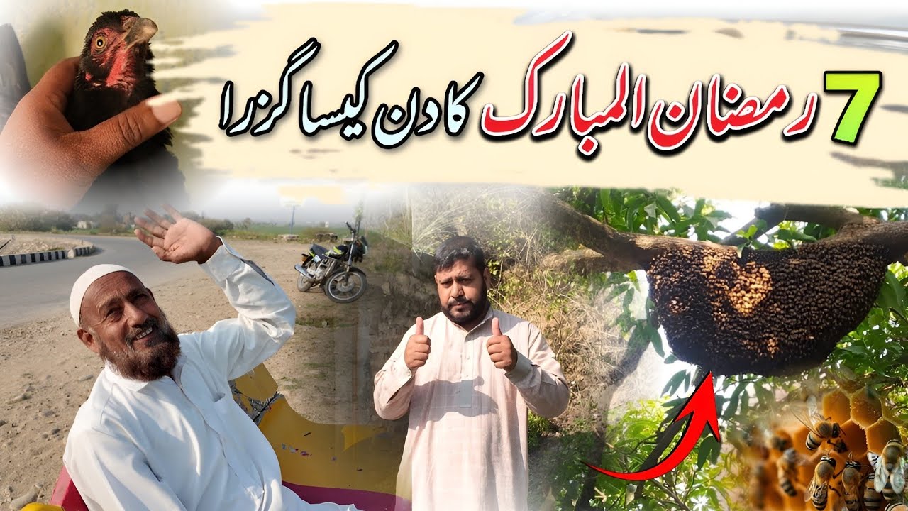 7 Ramzan ul Mubarak Ka Din Kaisa Guzra 😯