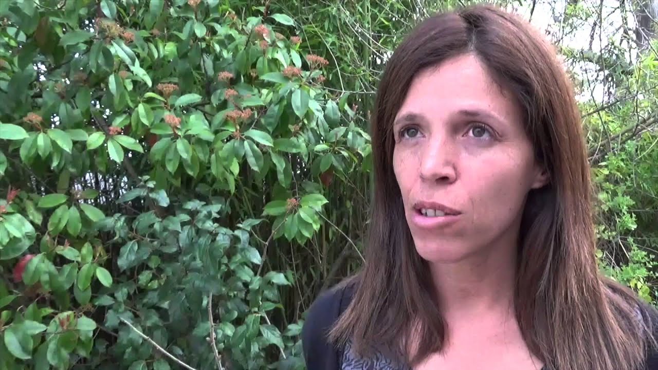 Le CADA : un toit pour attendre