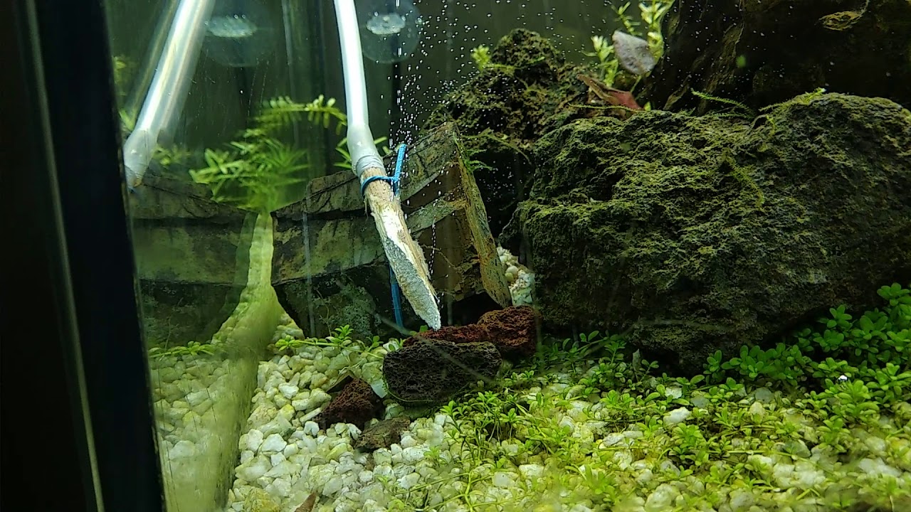 Diffusore CO2 acquario fai da te .